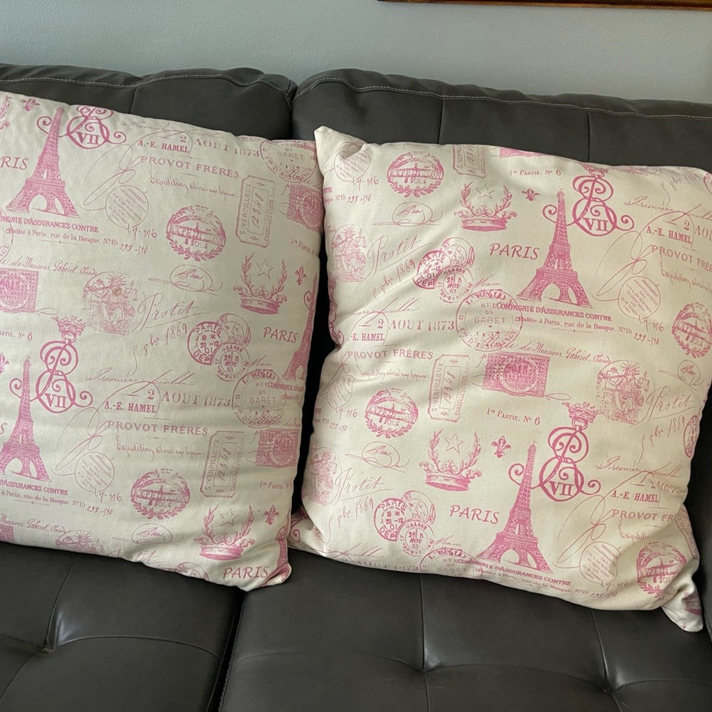 Adidas Pink and Cream Paris Print Pillow